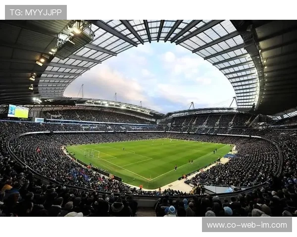 足球天王ZL的辉煌历程与传奇成就揭秘 球场内外的影响力与人生故事